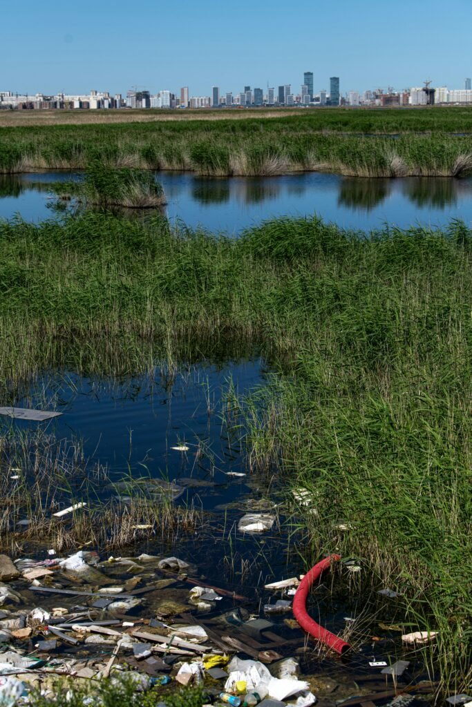 Innovative Strategies for Recycling Plastic Storage